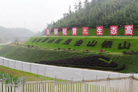 安徽黄山边坡绿化工程